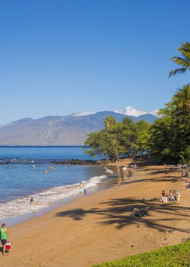 The image shows a beautiful beach with palm trees, clear water, and people enjoying the sun and surf under a blue sky.