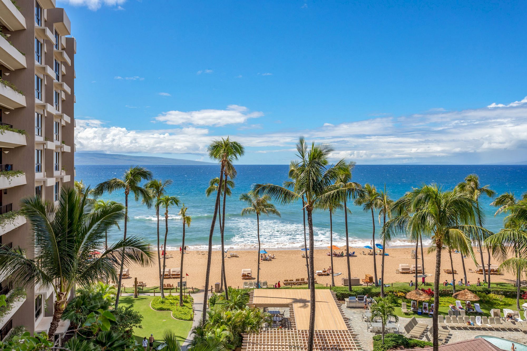 The image shows a tropical beach with palm trees, waves, and a resort building overlooking the scenic ocean view.