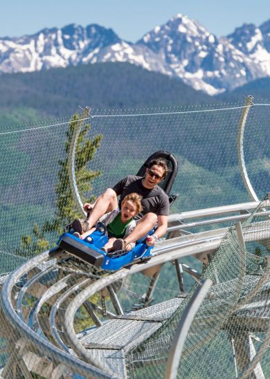 Two people riding a mountain coaster with scenic snowy mountains in the background and surrounded by trees in a lush forest.