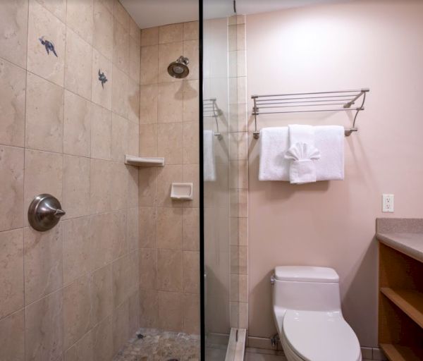 The image shows a bathroom with a glass shower on one side and a toilet with towels hanging on the other side.