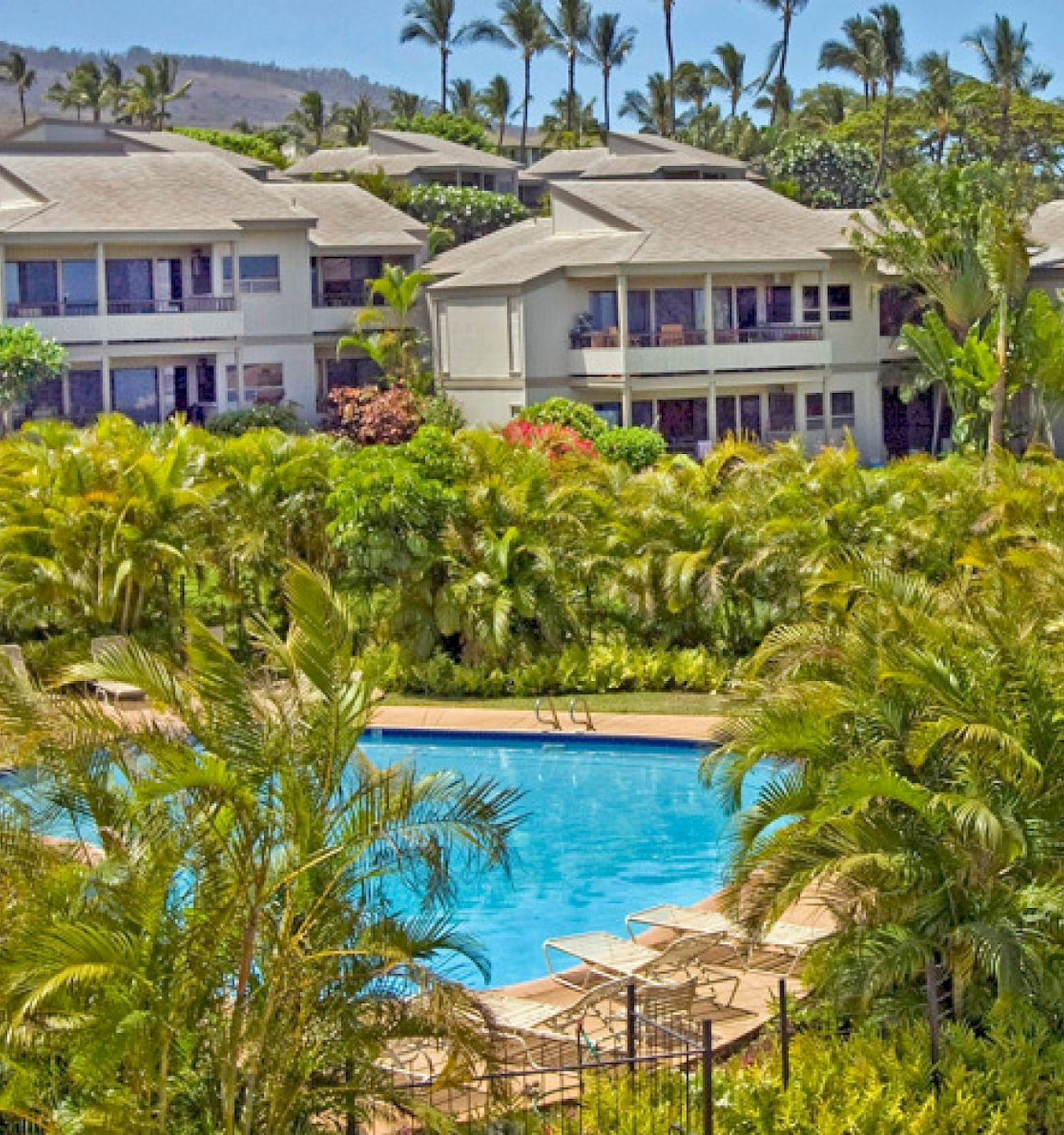 The image shows a tropical scene with lush greenery, a swimming pool, and several houses in a sunny setting.