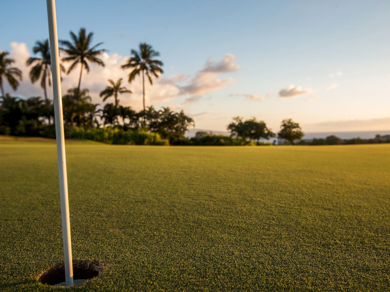 The image shows a golf course with a flagstick near the hole, surrounded by lush grass and palm trees against a sunset backdrop.