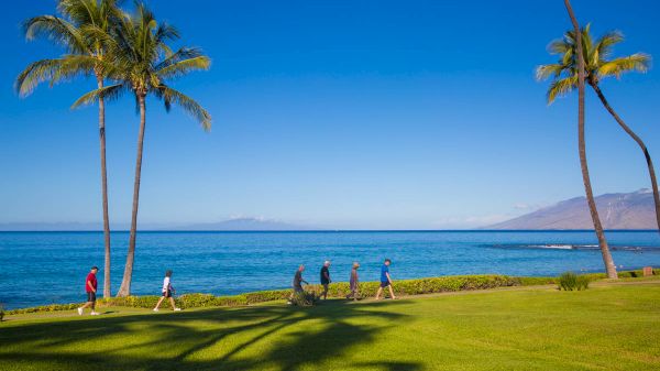 A group of people are walking along a grassy area by the ocean, with palm trees and mountains in the background under a clear blue sky.