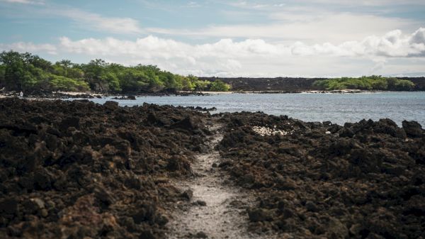 A rocky shoreline with dark volcanic rocks, a path, and water in the background, bordered by green trees under a cloudy sky.
