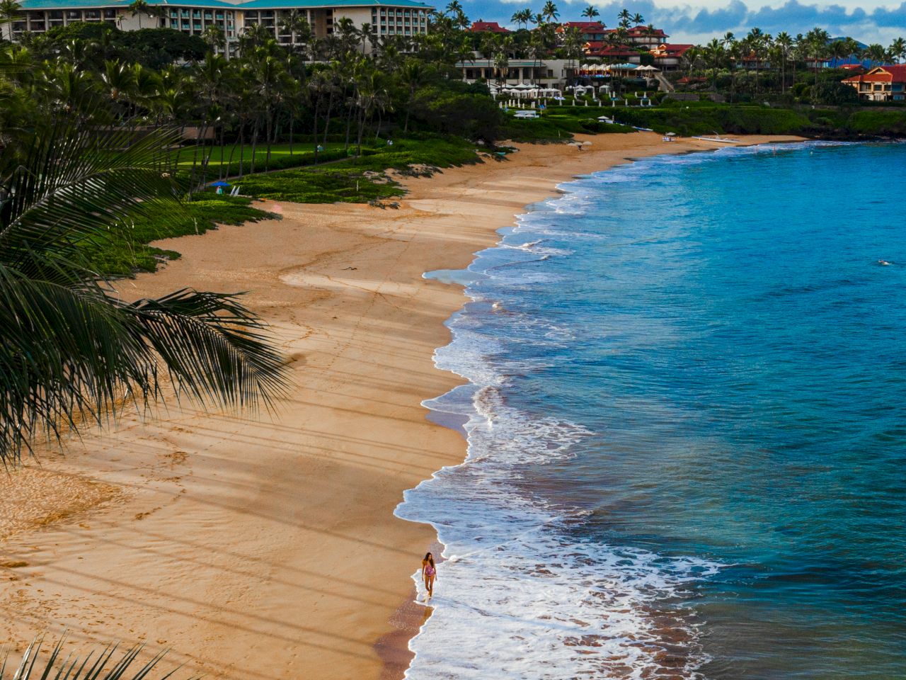 The image features a serene beach with gentle waves, palm trees, and distant resort buildings under a cloudy sky.