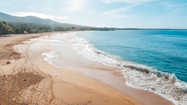 The image shows a serene beach with golden sand, gentle waves, and a clear blue sky, perfect for relaxation and nature lovers.