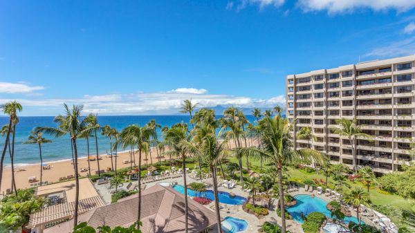The image shows a tropical beach scene with a pool, palm trees, and an ocean view, alongside a modern beach resort building.