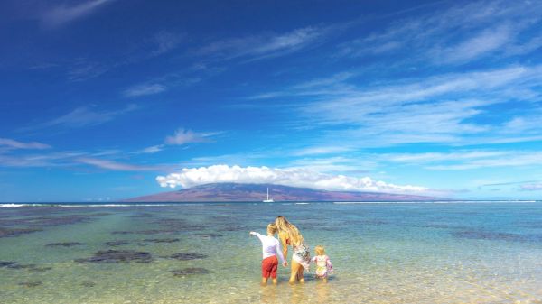 The image shows a family wading in shallow water with a beautiful sky and distant island in the background. It's a sunny day.