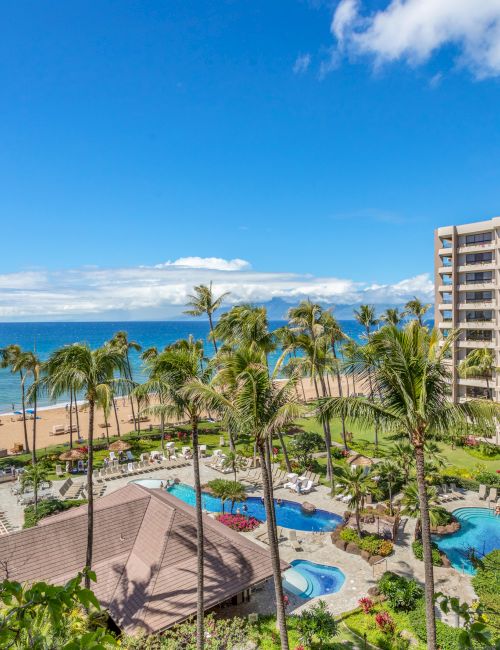 The image shows a beachside view featuring palm trees, a pool area, and a multi-story building against a blue sky.