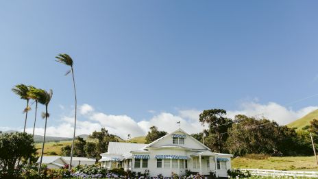 The image features a white house surrounded by green fields, with tall trees swaying in the breeze against a clear blue sky.