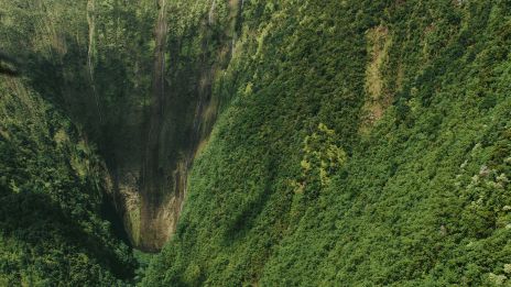 The image shows a steep, lush green valley surrounded by towering cliffs, likely depicting a tropical or mountainous landscape.