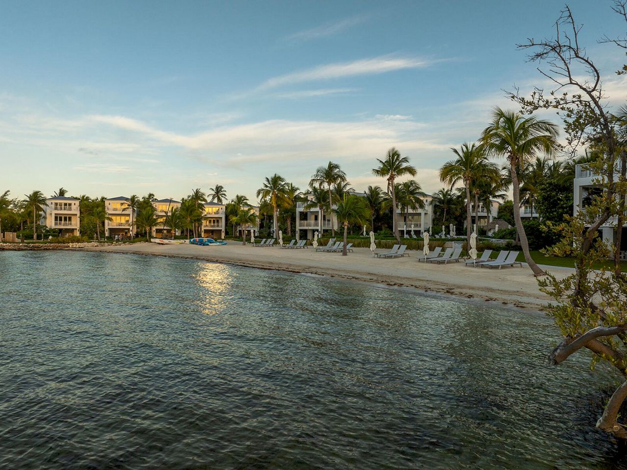 The image features a serene beachfront with palm trees and waterfront properties under a clear sky, suggesting a tropical setting.