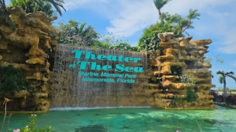 The image shows a scenic waterfall with lush greenery, featuring a sign that reads "Theater of the Sea" in Florida.