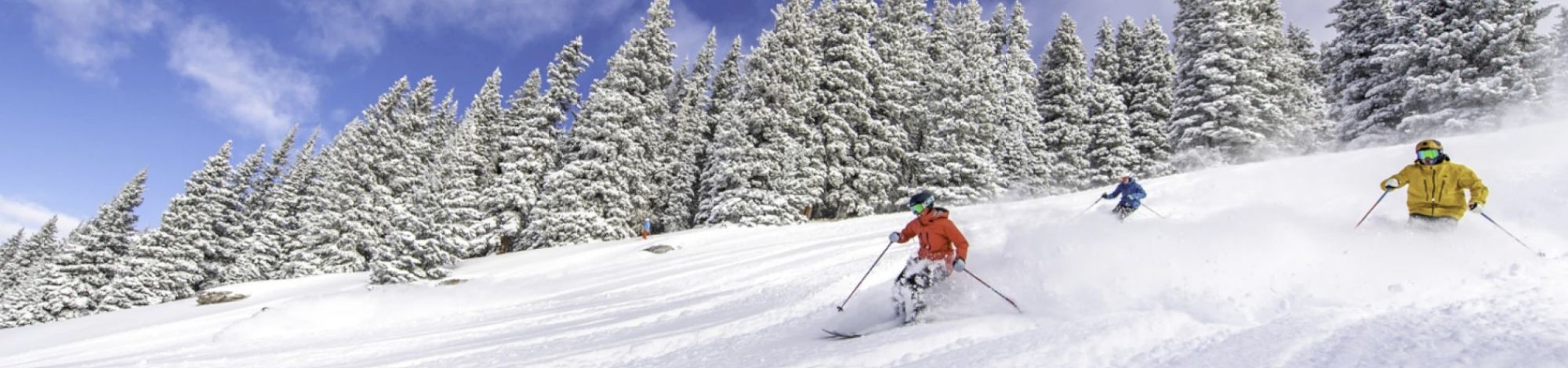 Coraltree Residence Collection