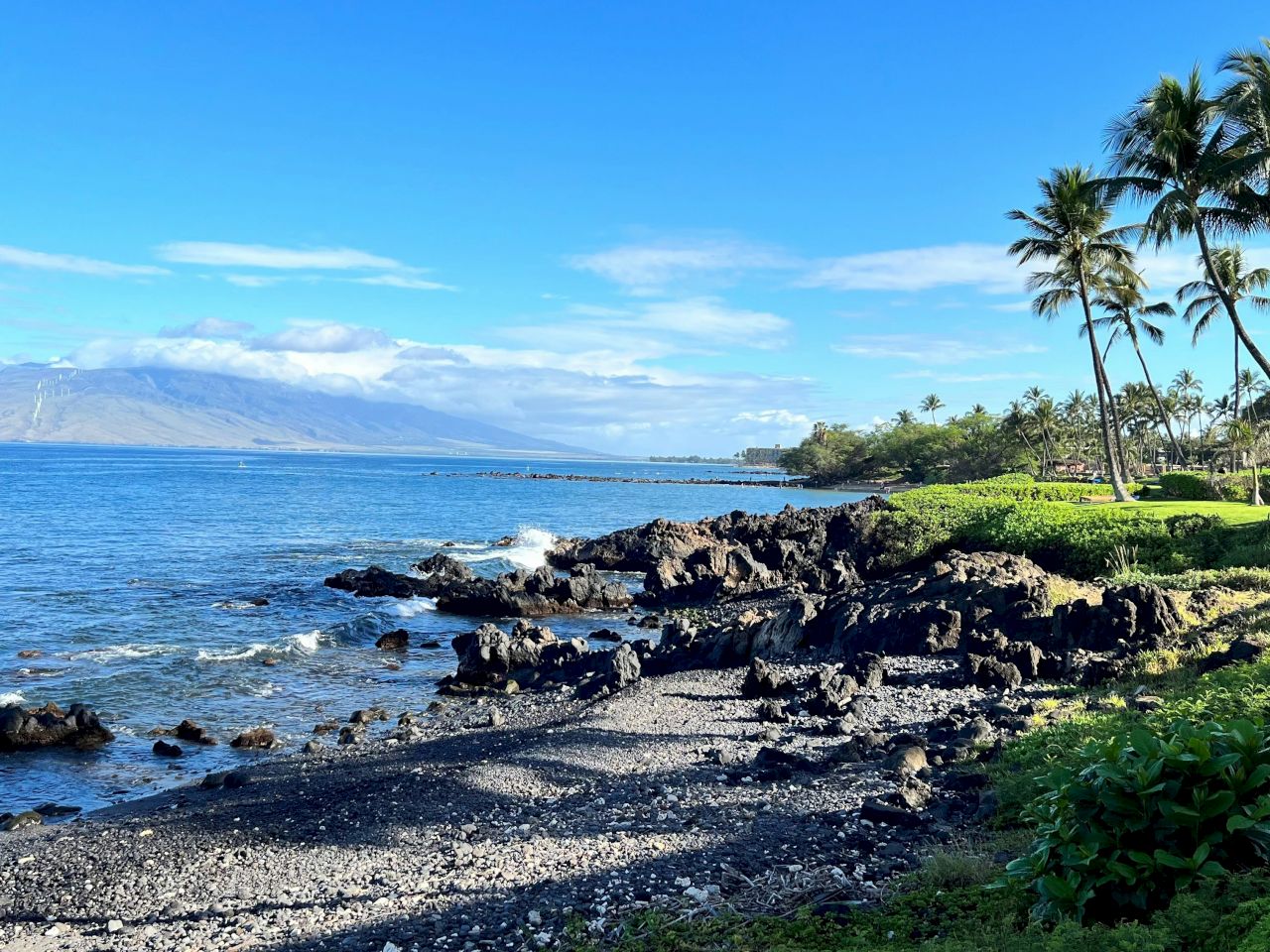 Coraltree Residence Collection