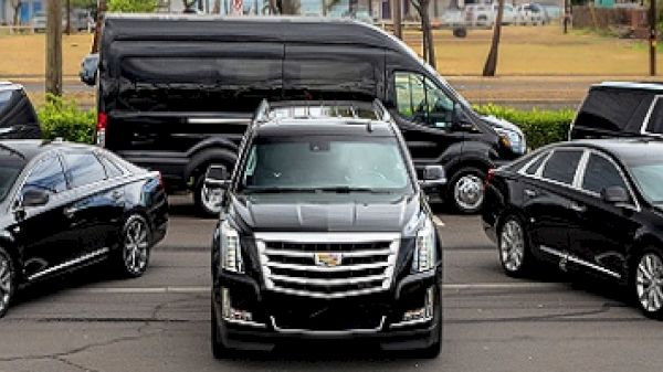 Coraltree Residence Collection