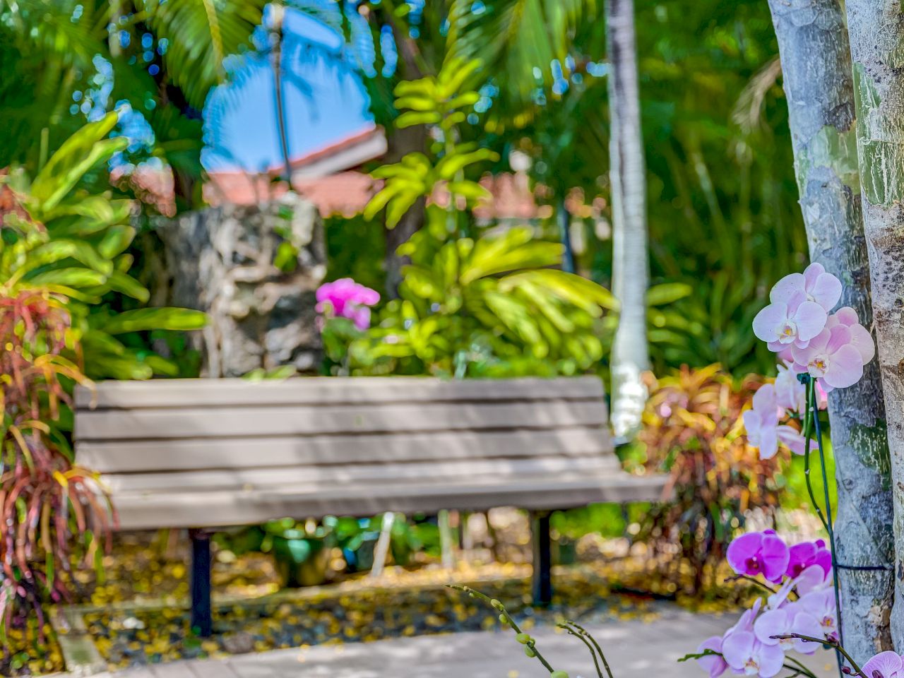 Coraltree Residence Collection