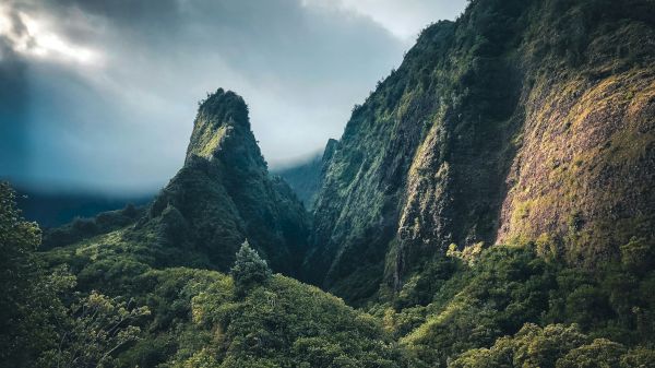 Coraltree Residence Collection