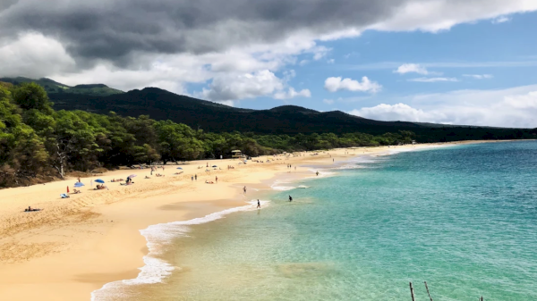 Coraltree Residence Collection