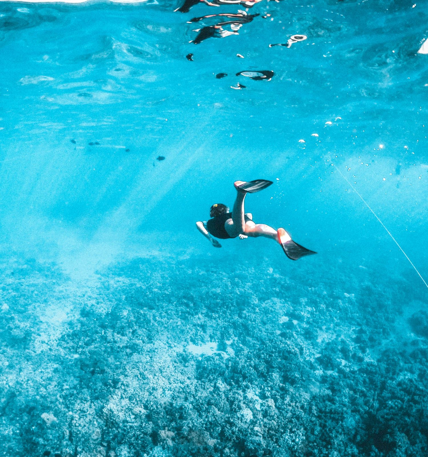 Coraltree Residence Collection