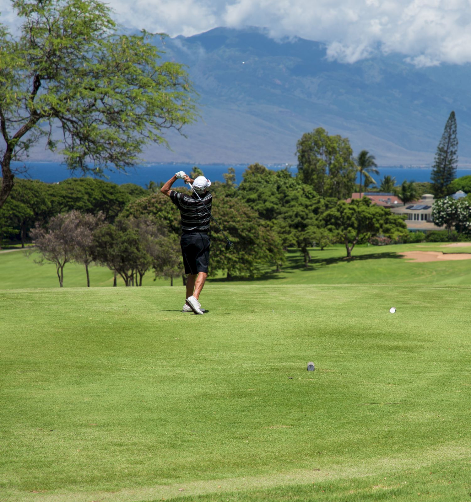 Coraltree Residence Collection