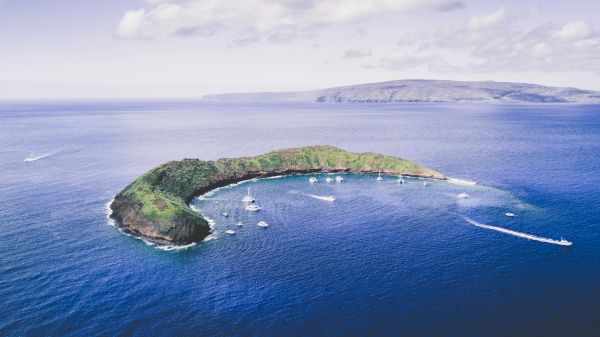 Coraltree Residence Collection