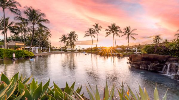 Coraltree Residence Collection