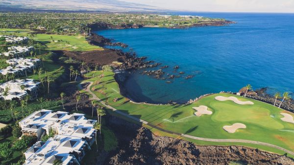 Coraltree Residence Collection