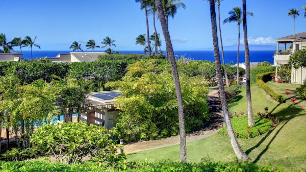 The image shows a lush tropical landscape with palm trees, greenery, and ocean views, creating a serene vacation atmosphere.