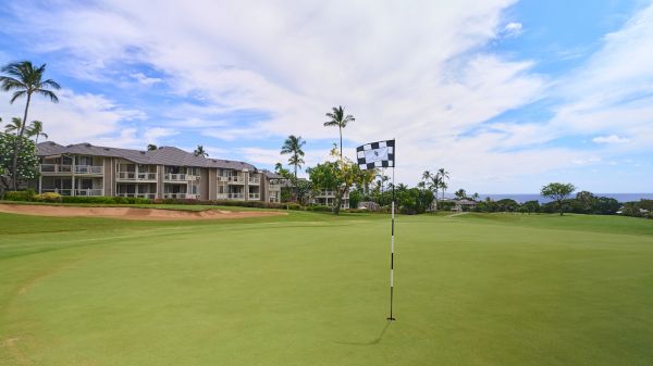 A lush golf course green with a flagstick hole, palm trees, a low-rise building in the background, and a bright, partly cloudy sky.
