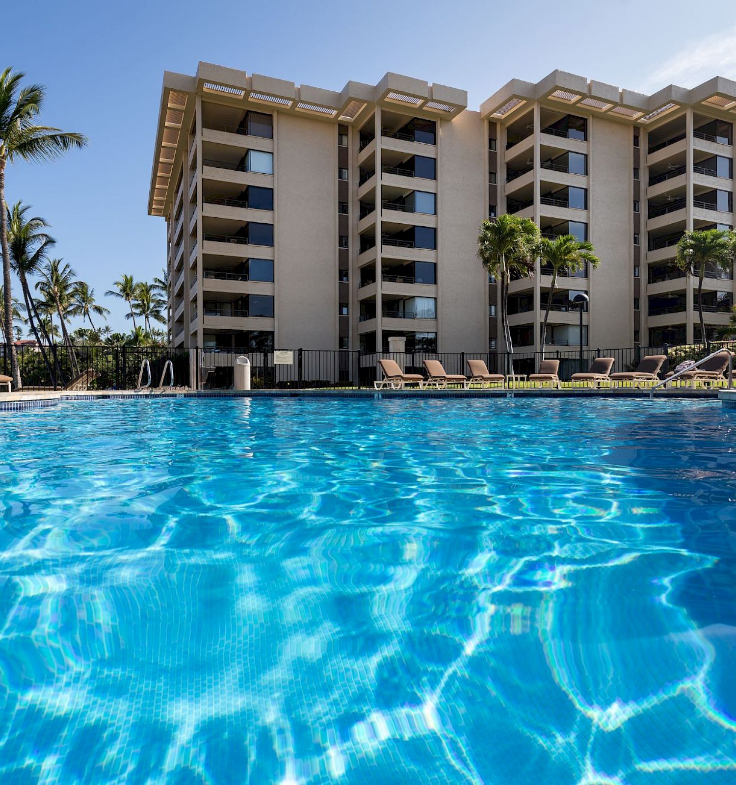 The image shows a luxurious hotel with a large, inviting swimming pool in the foreground, surrounded by palm trees and sun loungers.