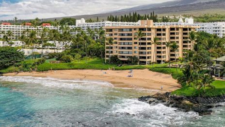 Beachfront scene with a sandy shore, a few sunbathers, and a coastal building surrounded by greenery and tropical trees.