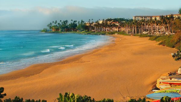 A pristine beach with golden sand, clear blue water, palm trees, and buildings in the distance under a calm, blue sky.