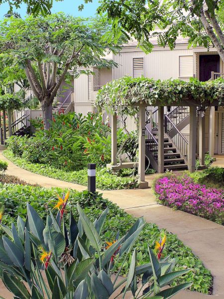 The image features a lush garden pathway adorned with colorful flowers, greenery, and a peaceful building in the background.