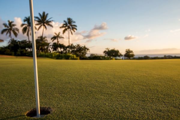 The image features a golf course with a flagstick, lush green grass, and palm trees against a sunset sky. It's a serene scene.