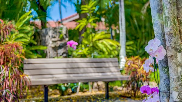 A tranquil garden scene featuring a wooden bench surrounded by lush greenery and blooming orchids, creating a serene atmosphere.