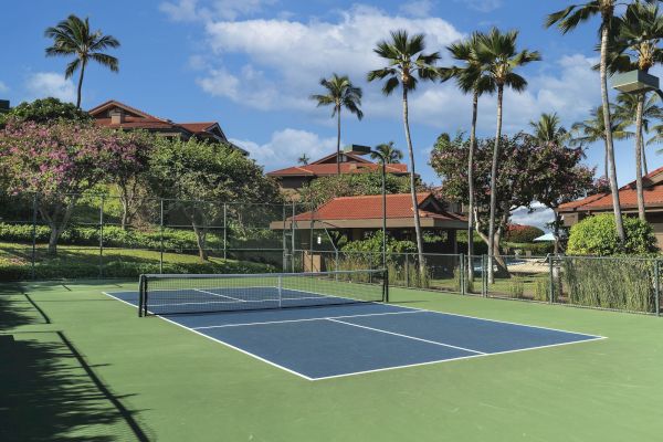 The image shows a tennis court surrounded by palm trees and houses under a clear blue sky. It's a tranquil setting for play.