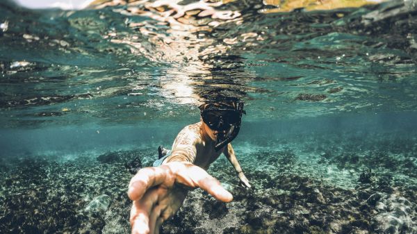 A person is snorkeling underwater, reaching toward the camera, with a clear view of the water surface and rocky seabed.