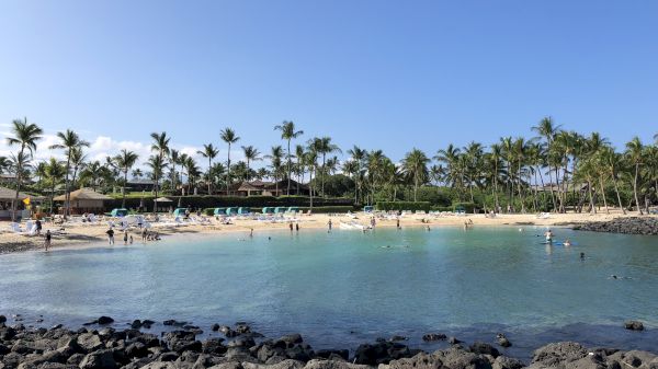 A beautiful beach scene with clear blue water, rocky foreground, and tall palm trees under a clear sky graces the image.