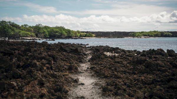 A rocky shoreline with a path leads to water, surrounded by greenery and under a cloudy sky.