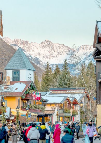 Coraltree Residence Collection