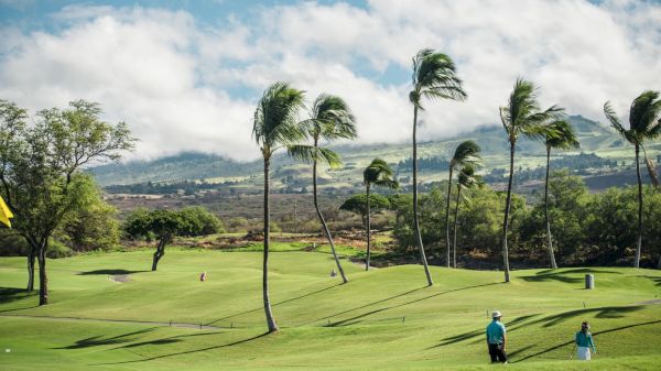 A lush golf course with palm trees swaying in the wind, under a blue sky with scattered clouds. Two people are walking across the green.