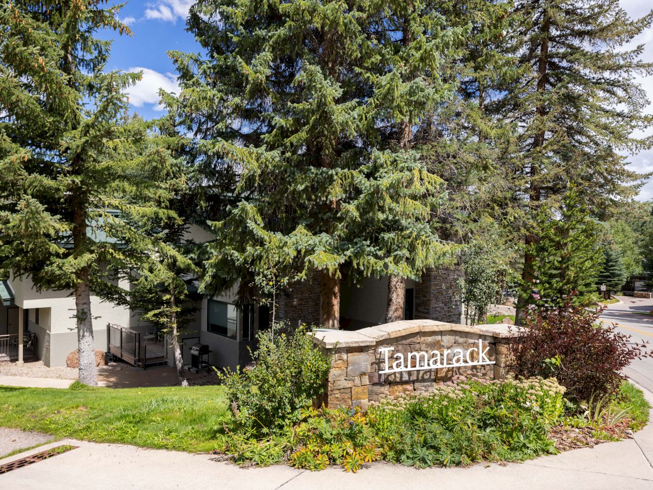 The image shows a building surrounded by tall trees and a stone sign reading "Tamarack." It's a sunny day with a clear blue sky.
