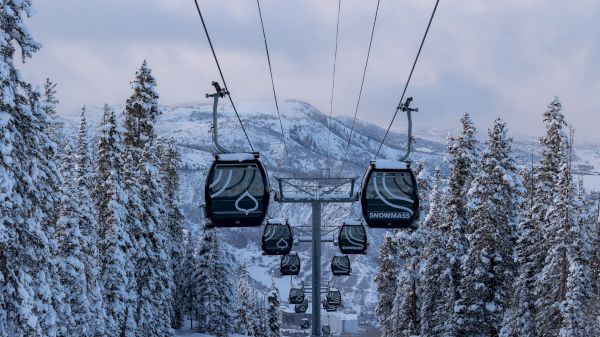 Ski lift gondolas travel above a snowy, forested landscape with mountains in the background, surrounded by snow-covered trees and clear skies.