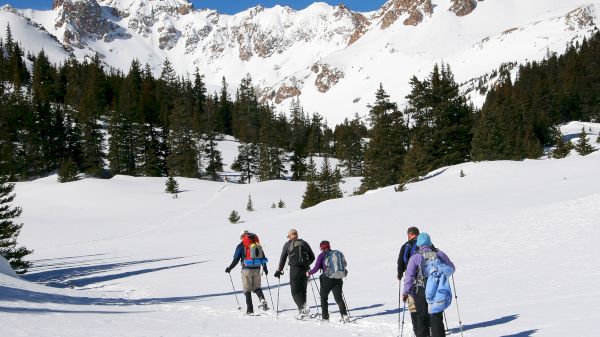 A group of five people is snowshoeing in a snowy mountain landscape with pine trees and clear blue sky in the background.