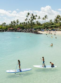 A tropical beach scene with people paddleboarding and swimming in clear blue water, surrounded by palm trees under a sunny sky.