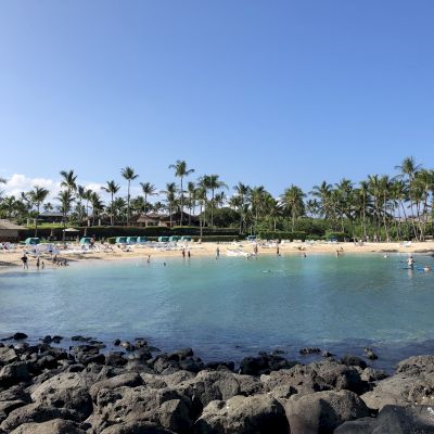 A beach scene with palm trees, people swimming, lounging under umbrellas, and rocky shore in the foreground all under a clear blue sky.