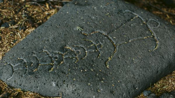 A stone engraved with a line of petroglyphs, possibly depicting an abstract figure and symbols, lies on the ground surrounded by soil and small stones.