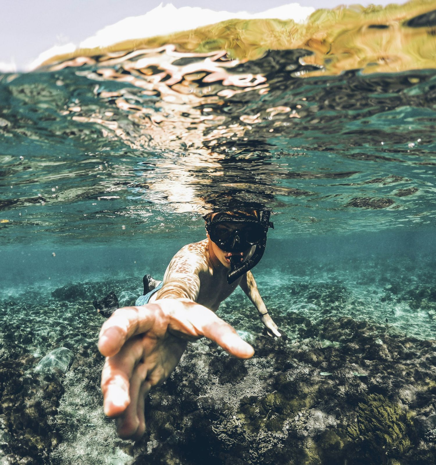 Coraltree Residence Collection