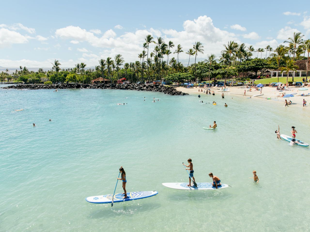 The image shows a sunny beach scene with people paddleboarding and swimming in clear blue water, surrounded by palm trees and a sandy beach.